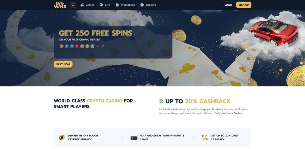 BigWins Gambling Enterprise: Gamer Rankings & Our Judgment
