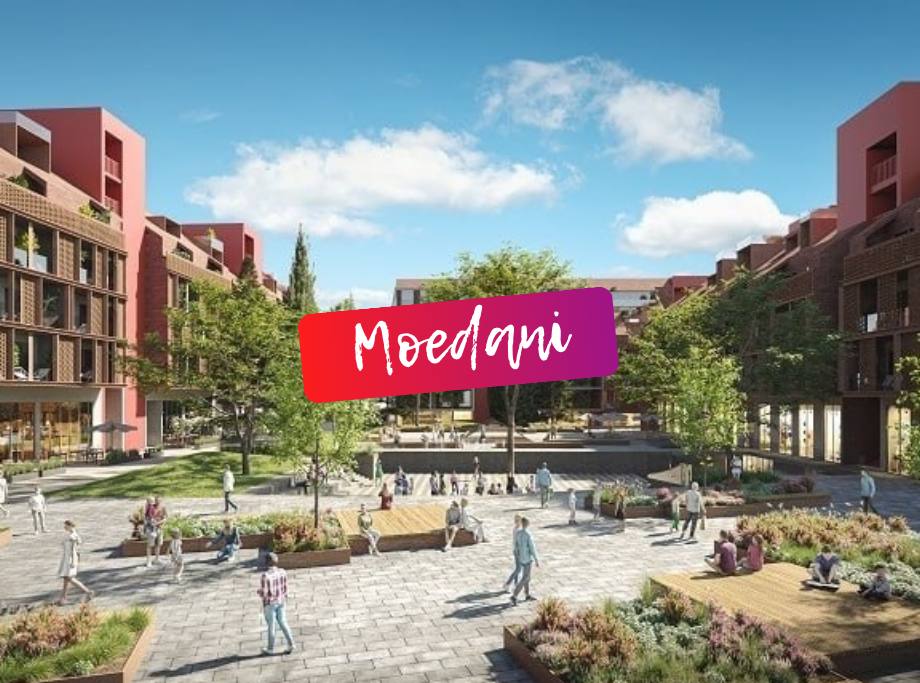 როგორ ვიპოვე იდეალური კაპოტი ჩემი Audi-სთვის ავარიის შემდეგ