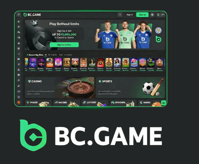 The Ultimate Guide to BC.Game Mirror App